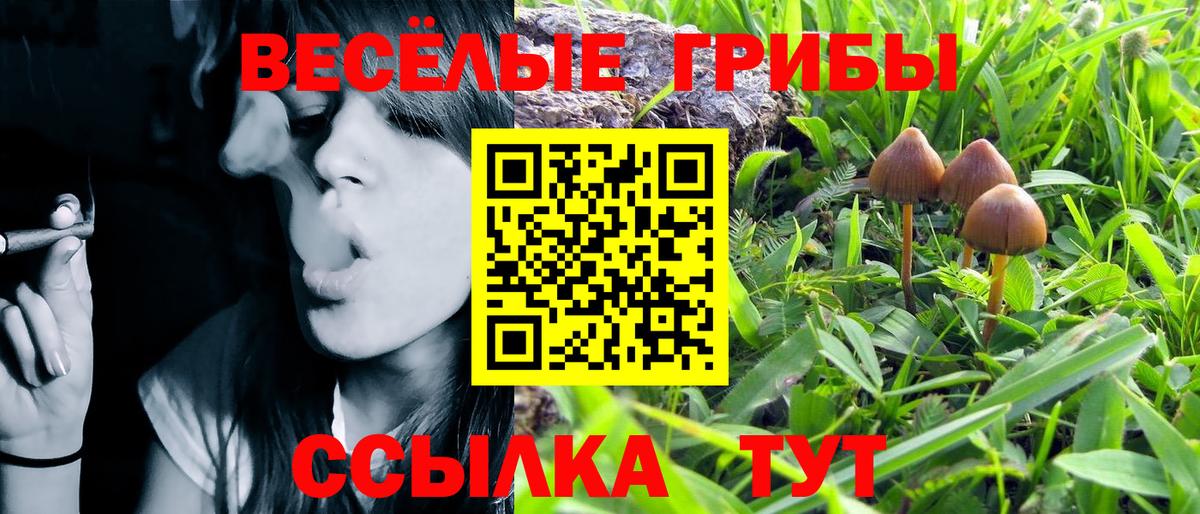 Тихвин  Галлюциногенные грибы ЛСД  Псилоцибиновые грибы Cubensis  Вход с VPN 